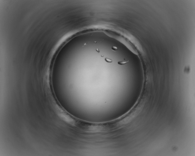 X0000101651232200807101224