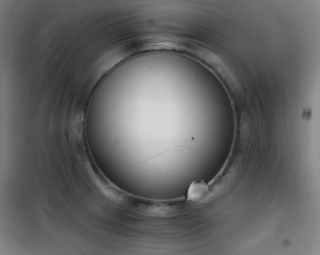 X0000101651233200807101224
