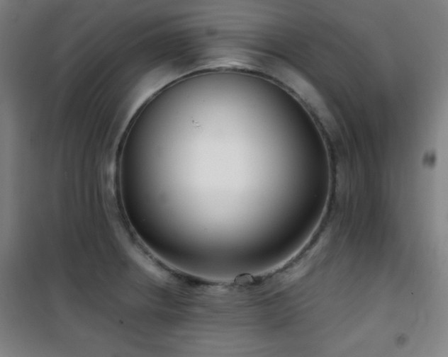 X0000101651234200807101224