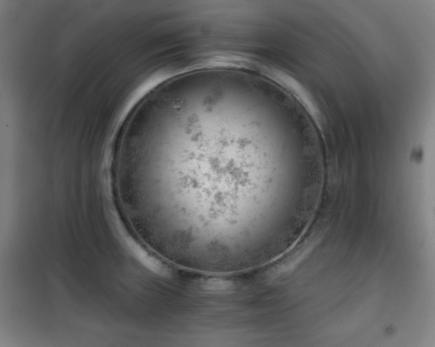 X0000101651235200807101224