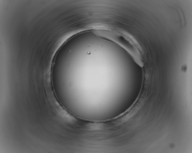 X0000101651236200807101224