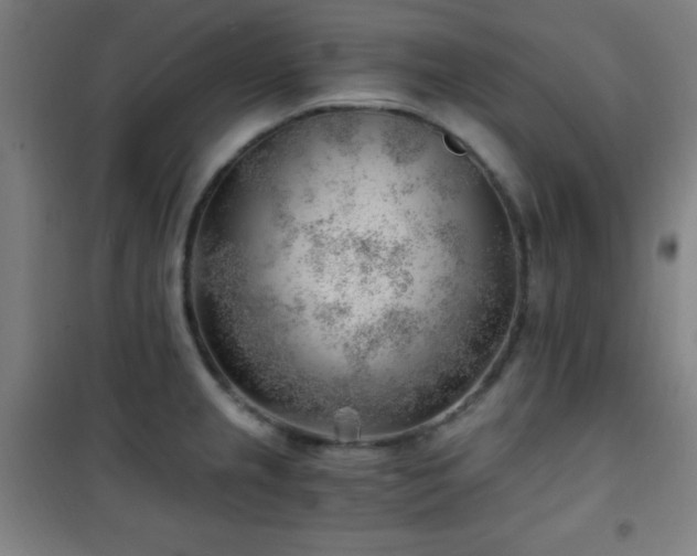 X0000101651237200807101224