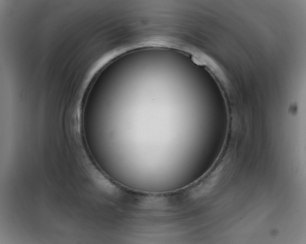X0000101651238200807101224