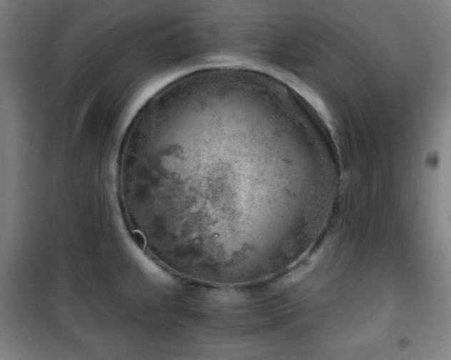 X0000101651239200807101224