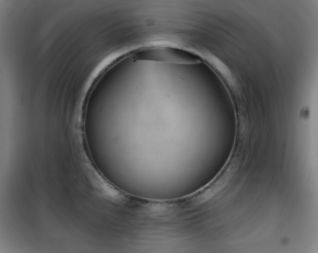 X0000101651240200807101224