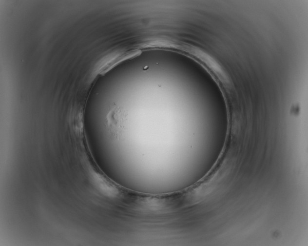 X0000101651241200807101224