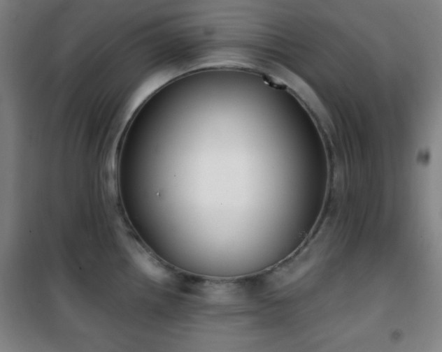 X0000101651242200807101224