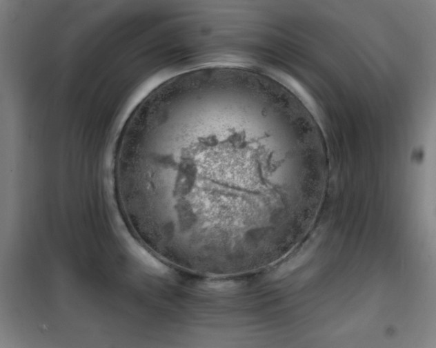 X0000101651243200807101224