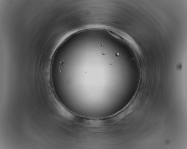 X0000101651244200807101224