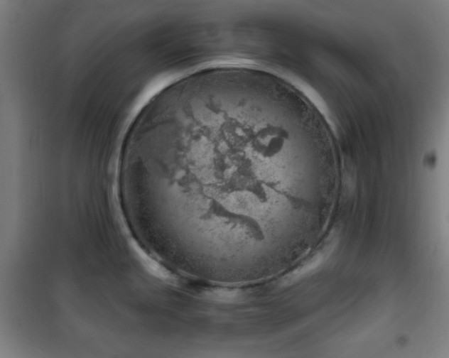 X0000101651245200807101224
