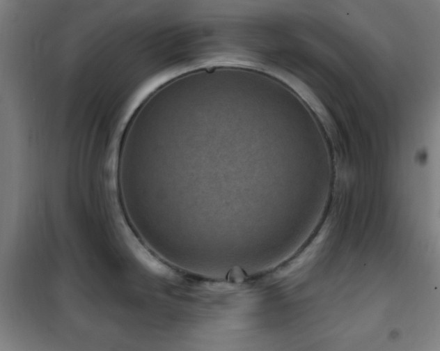 X0000101651246200807101224