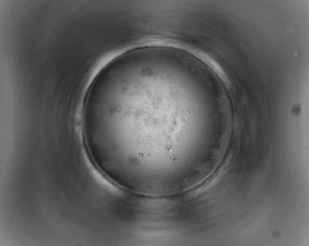 X0000101651247200807101224