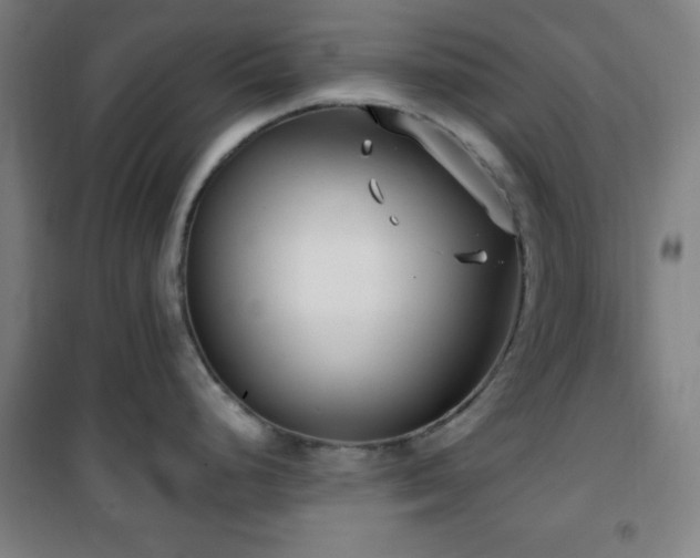 X0000101651248200807101224