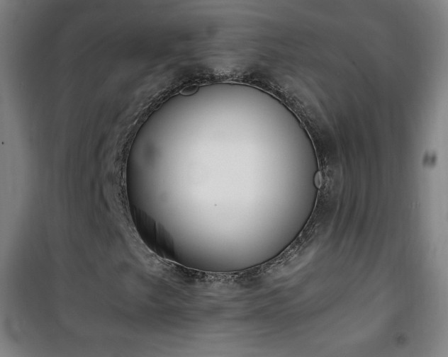 X0000101651249200807101223