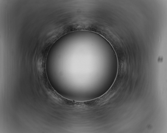 X0000101651250200807101223