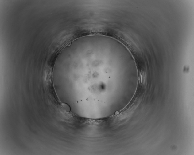 X0000101651251200807101223