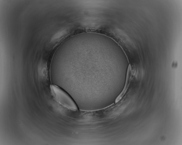 X0000101651252200807101223