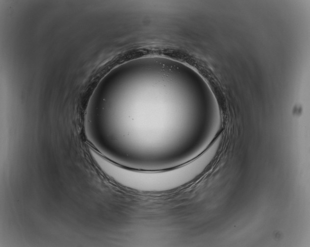 X0000101651253200807101223