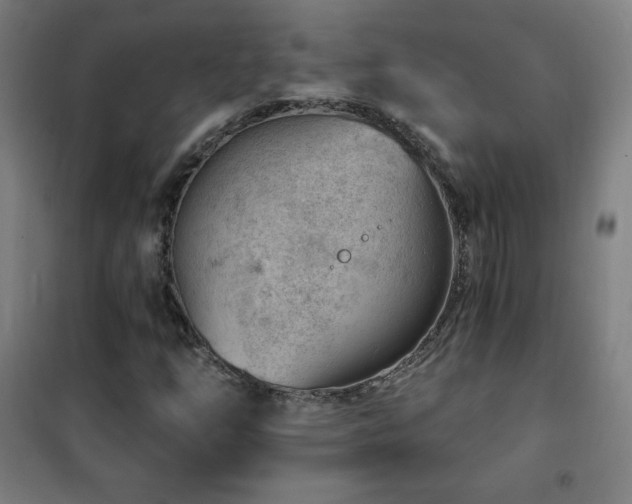 X0000101651254200807101223