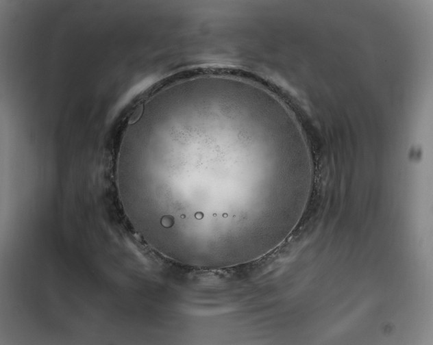 X0000101651255200807101223