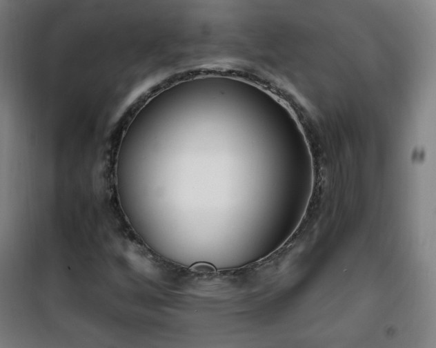 X0000101651256200807101223
