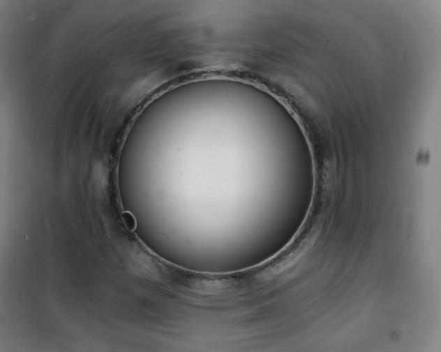 X0000101651257200807101223