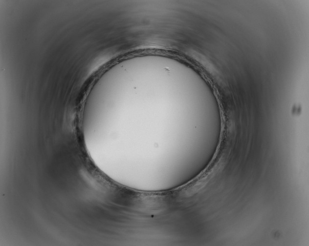 X0000101651258200807101223