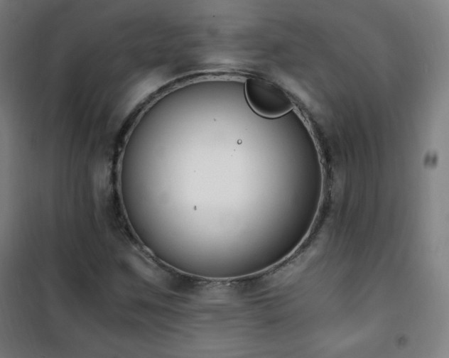 X0000101651259200807101223