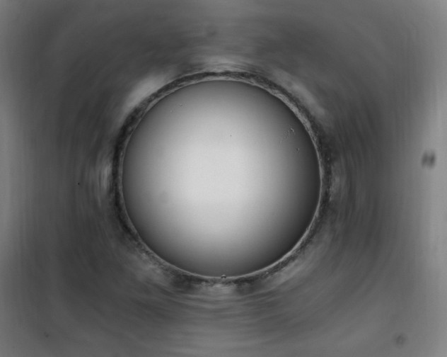X0000101651261200807101223