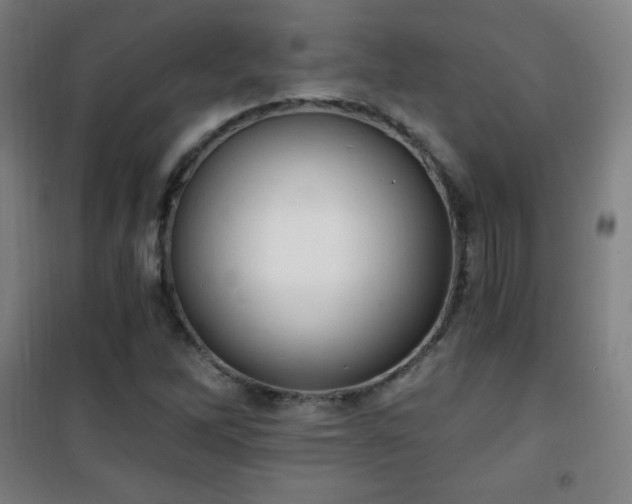 X0000101651262200807101223