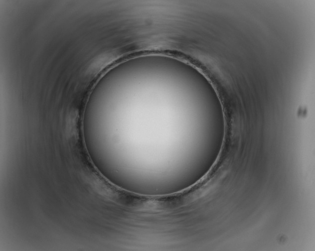 X0000101651265200807101223