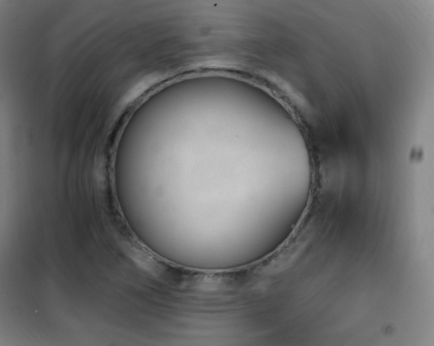 X0000101651266200807101223