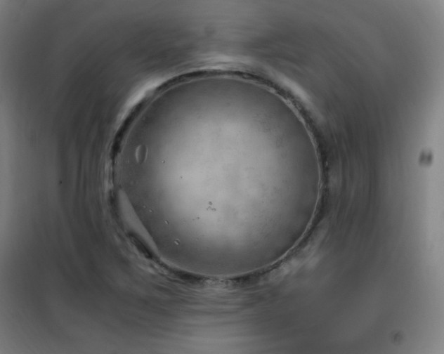 X0000101651267200807101223