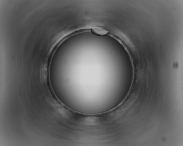 X0000101651268200807101223