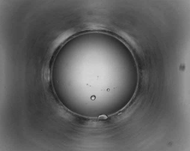 X0000101651269200807101223