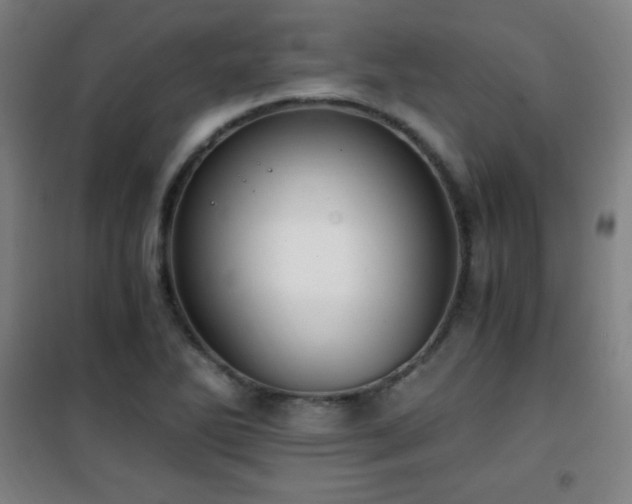 X0000101651270200807101223