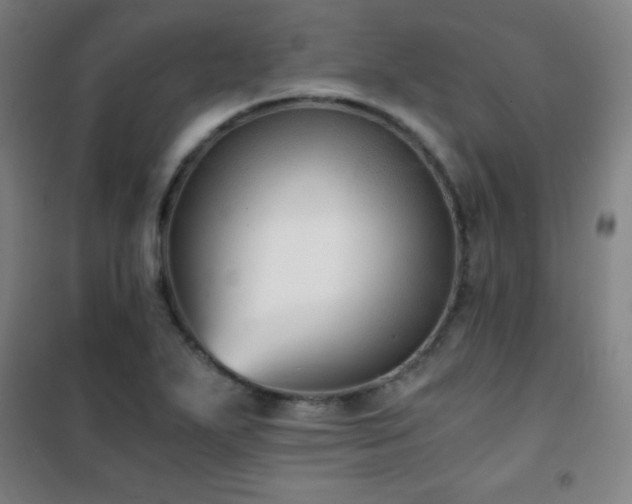 X0000101651271200807101223