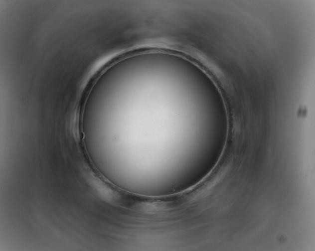 X0000101651272200807101223
