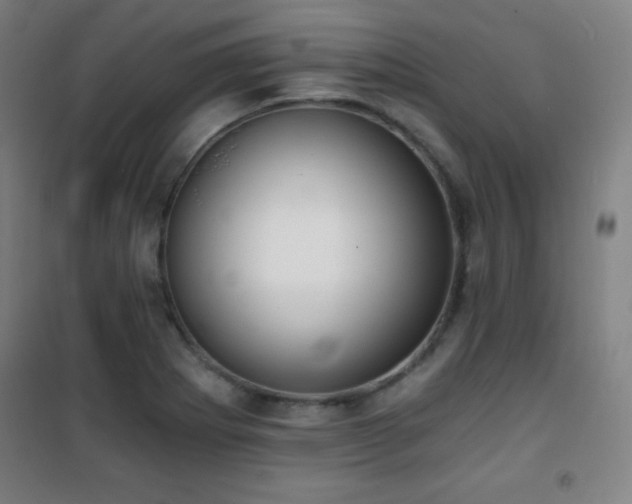 X0000101651273200807101223