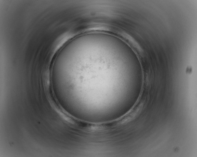 X0000101651274200807101223