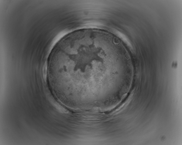 X0000101651275200807101223