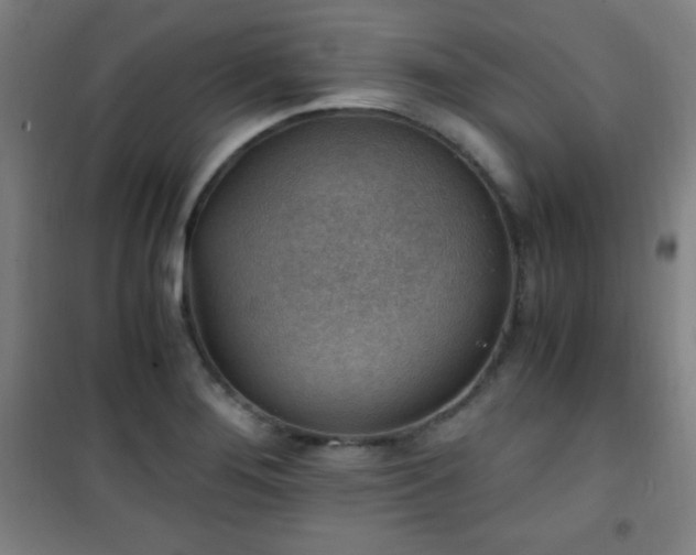 X0000101651276200807101223