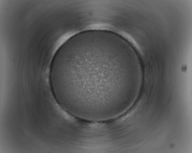 X0000101651277200807101223