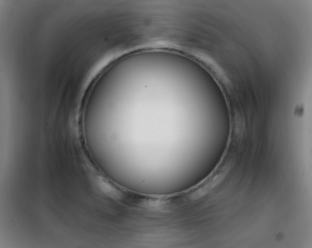 X0000101651278200807101223