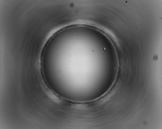 X0000101651280200807101223