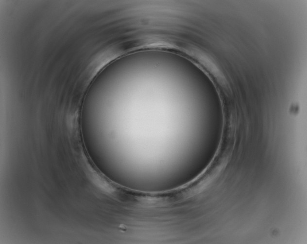 X0000101651281200807101223