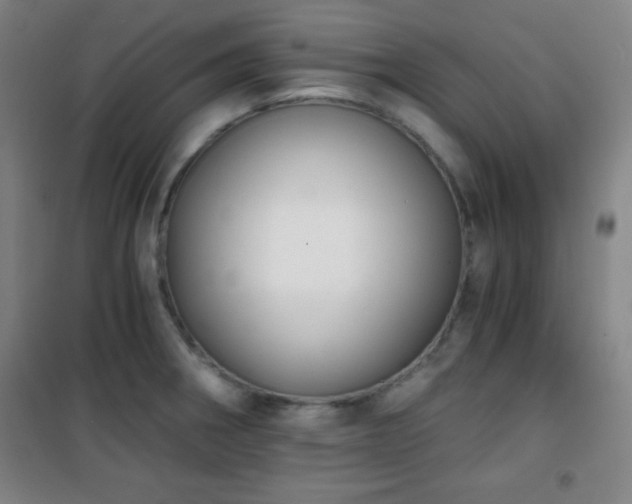 X0000101651282200807101223