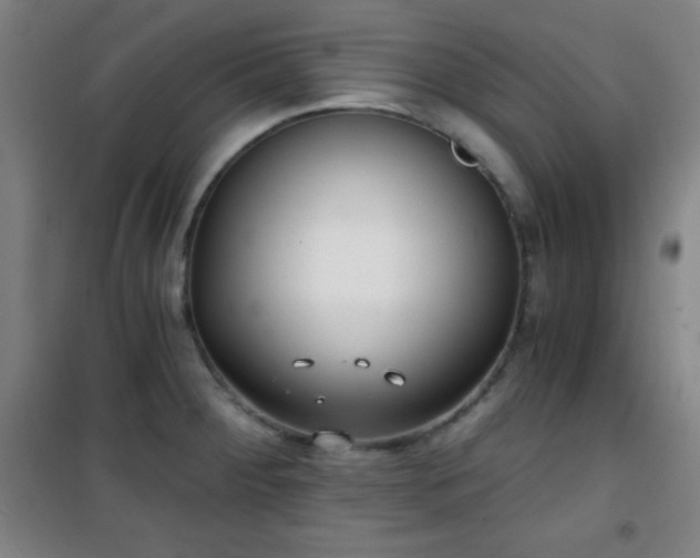 X0000101651284200807101223