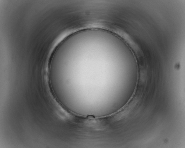 X0000101651286200807101222
