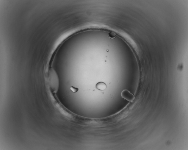 X0000101651287200807101222